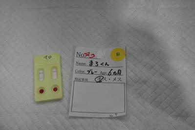 21082931_1229475553823117_4041943008952950358_o