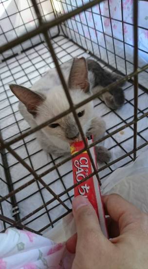 21557599_878529378990213_798573768396172972_n