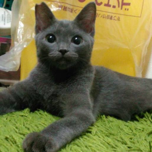 21687840_879913858851765_6019471829152533321_n