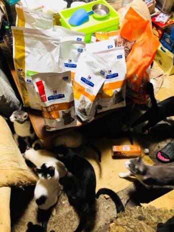 30714982_999147720261711_8759948089273352192_n