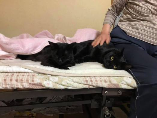 70815727_1386212218221924_4485266580942356480_n