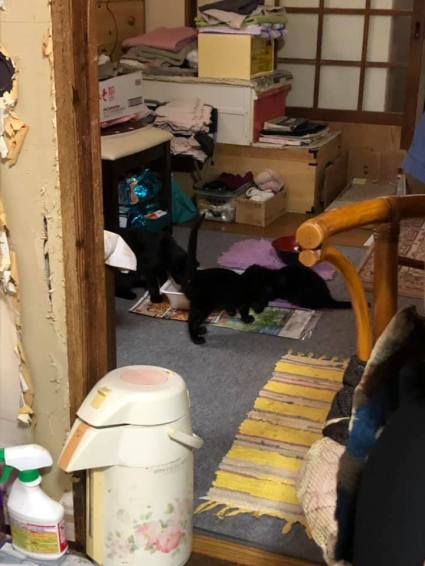 71088932_1386212201555259_4078613420885147648_n