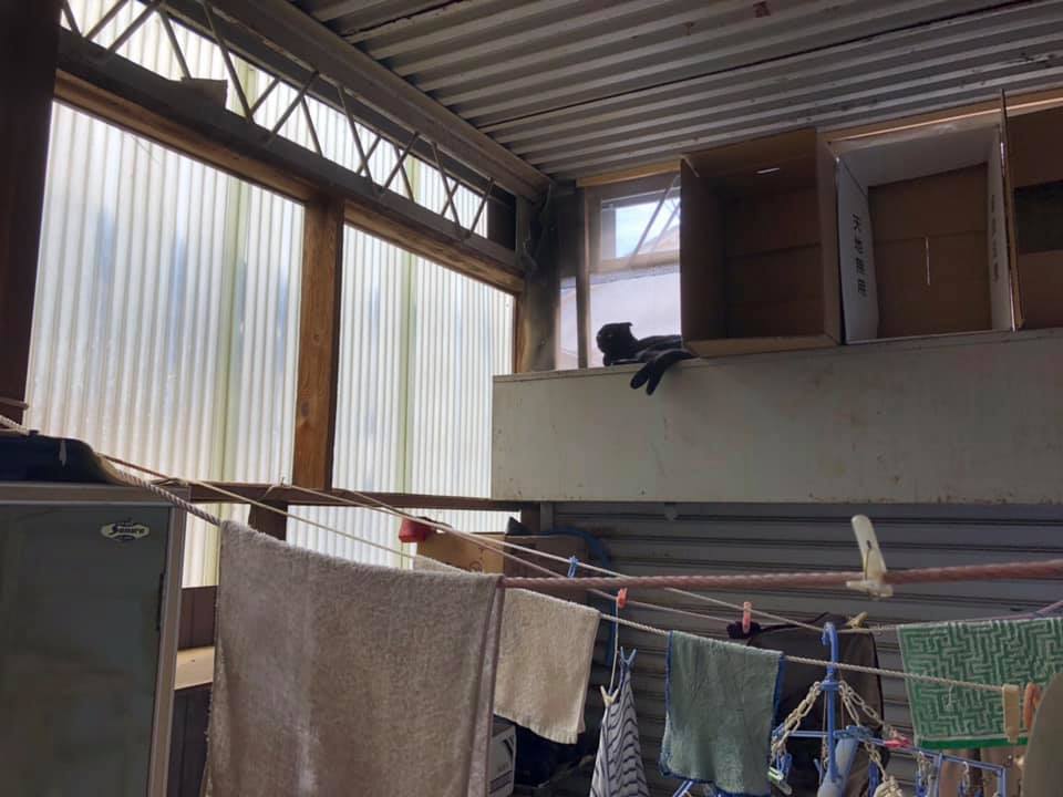 71200112_1386212184888594_5004259150406877184_n